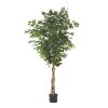 70.9 Inch Artificial Ficus Tree for Home Decor