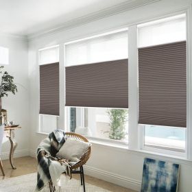 WELLSOURCE Manual Cordless Day and Night Cellular Shades Non Blackout Light Filtering Honeycomb Fabric for Home, Office, Hotel, Club (Color: Brown, size: CONTACT US)